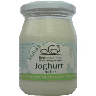 Schafjoghurt