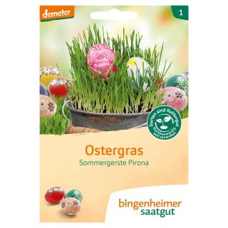 Ostergras